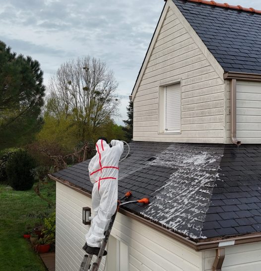 Algues Net+ traitement toiture