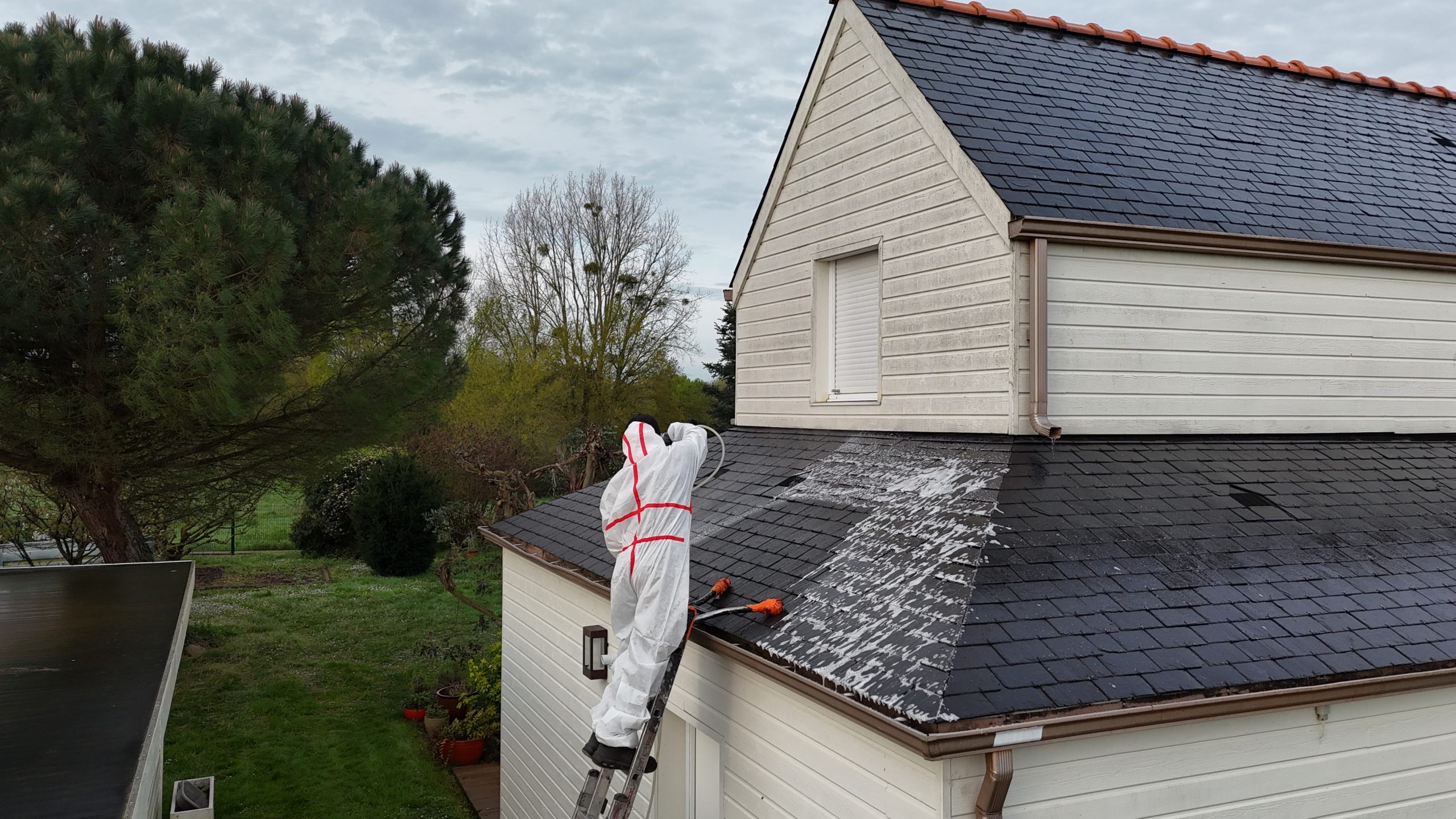 Algues Net+ traitement toiture